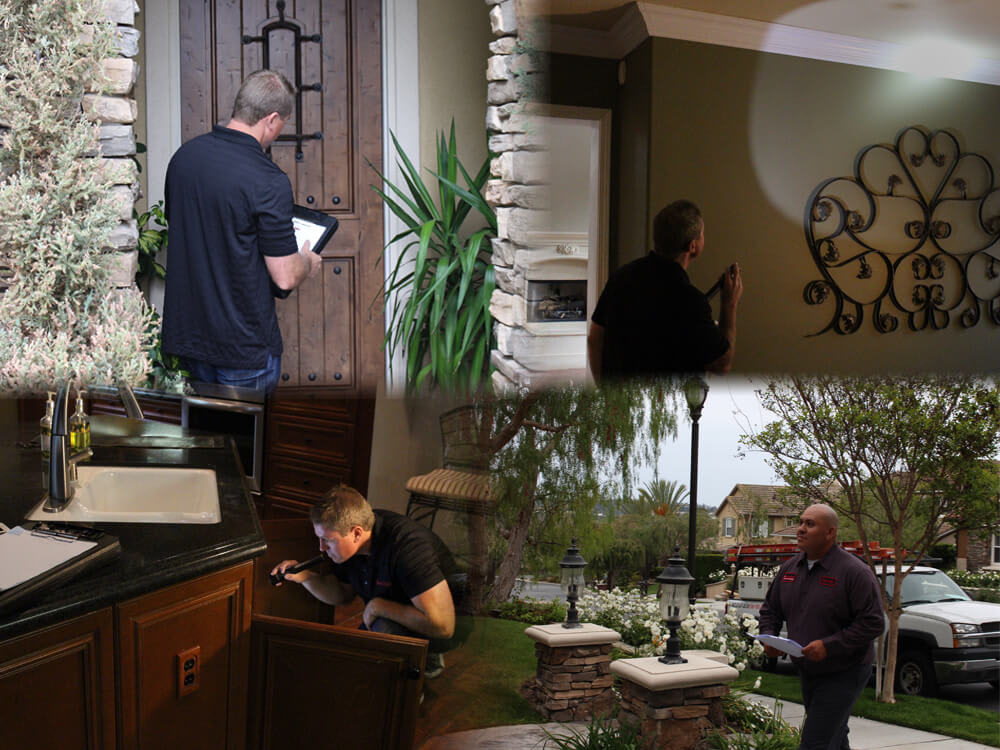 DelMarAccurateTermiteInspectors